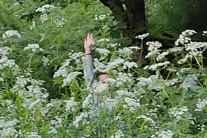 De l'herbe très haute devant une maison au loin